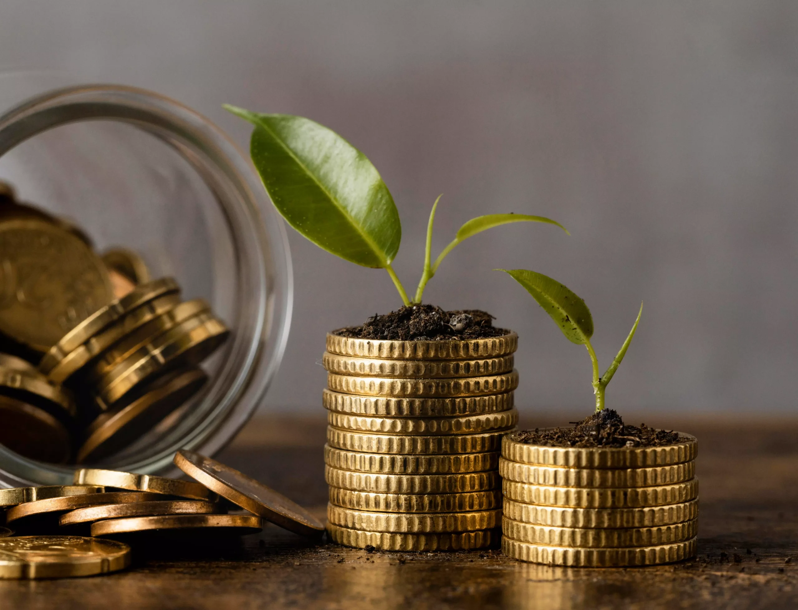 cashflow management services